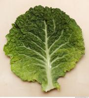Photo Texture of Leaf Cabbage 0001